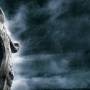 vikings_drakkar_tongue_teeth_dragon_rain_99092_2560x997.jpg